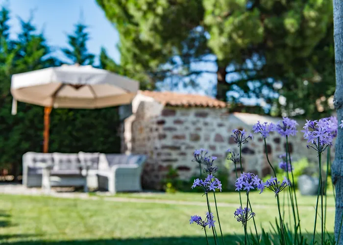 Elia Cunda By Ortunc