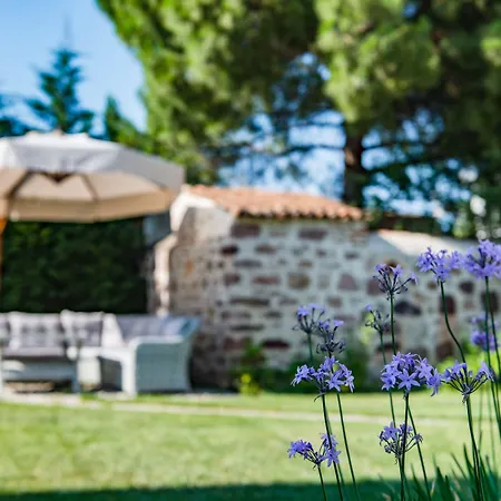 Elia Cunda By Ortunc