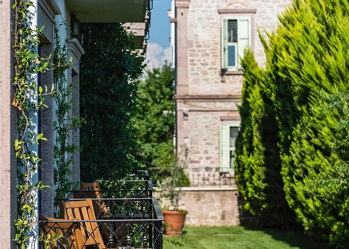 Elia Cunda By Ortunc